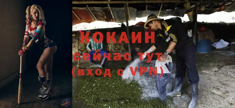 КОКАИН VHQ  Ртищево 